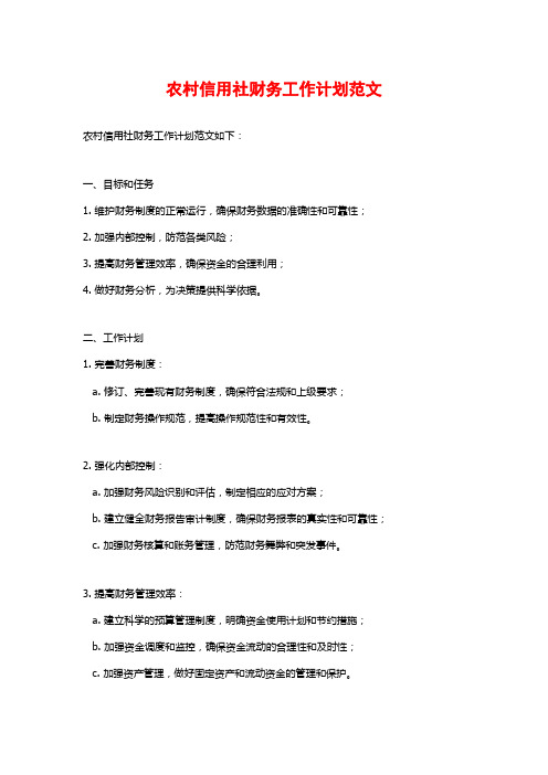 农村信用社财务工作计划范文
