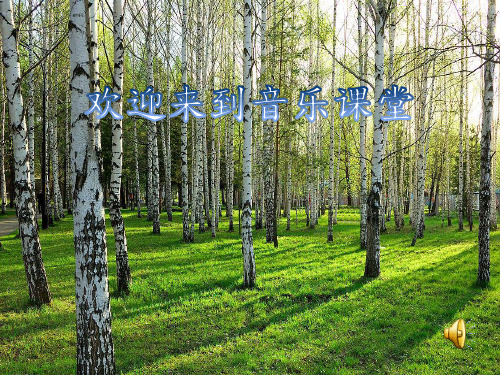 小学音乐白桦林好地方课件1