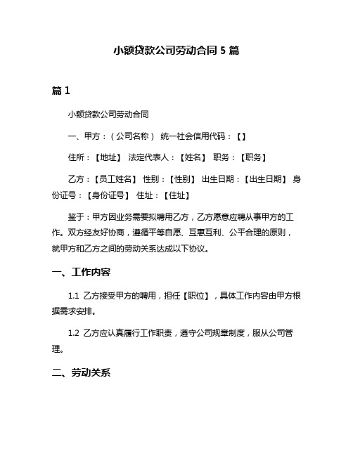 小额贷款公司劳动合同5篇