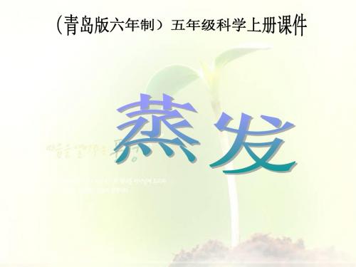 五年级科学上册PPT课件(青岛版)20、蒸发 (1)