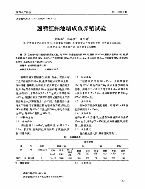 翘嘴红鲌池塘成鱼养殖试验