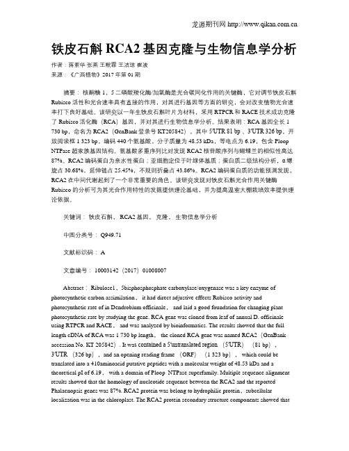 铁皮石斛RCA2基因克隆与生物信息学分析