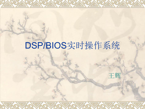 实时操作系统DSP BIOS