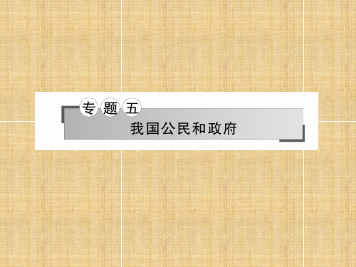 高三政治二轮复习专题五我国公民和政府名师课件