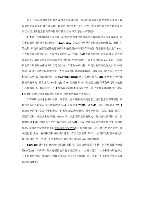 人类眼睛葡萄膜炎的动物模型