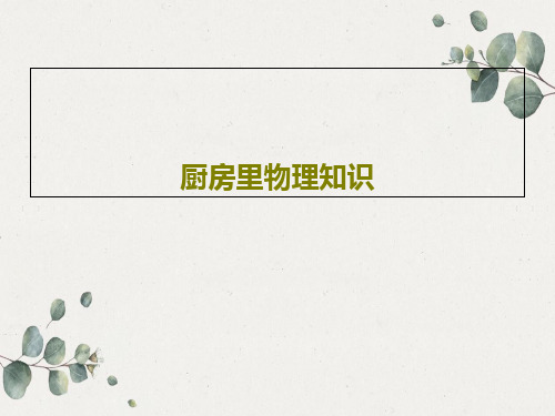 厨房里物理知识PPT共16页
