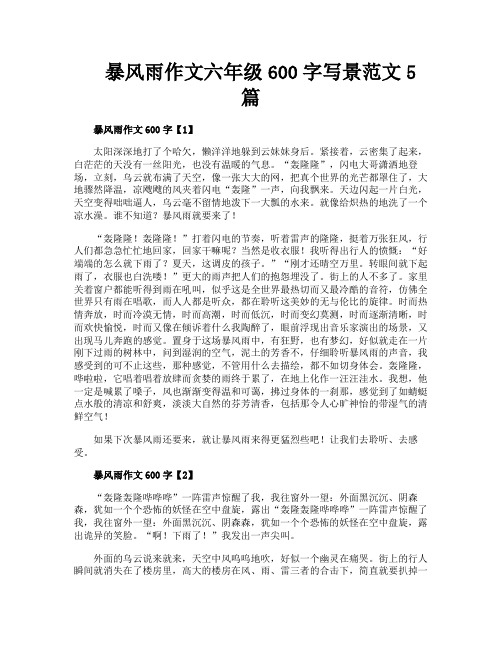 暴风雨作文六年级600字写景范文5篇