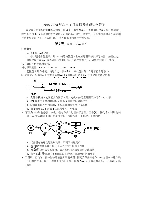 2019-2020年高三3月模拟考试理综含答案