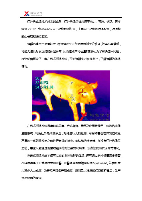 红外热成像仪用于猪群体温监测猪瘟筛查