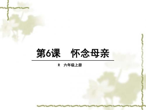 人教版六年级语文上册ppt课件6-怀念母亲(30p)