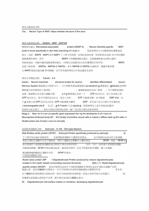神经系统标志物
