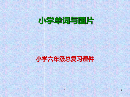 小学英语词汇总复习ppt课件