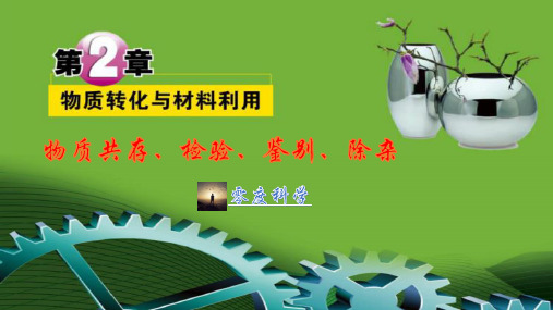 浙教版科学九级上册化学专题提升ppt物质的存、检验与鉴别、除杂
