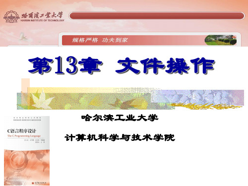 哈工大c语言课件13
