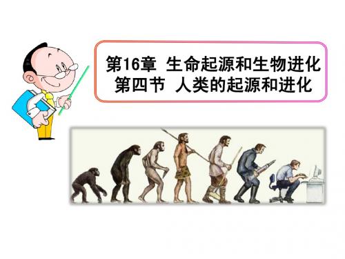 011-16.4人类的起源和进化(苏教版)