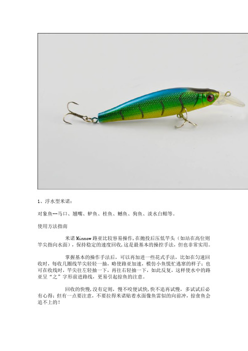 路亚介绍