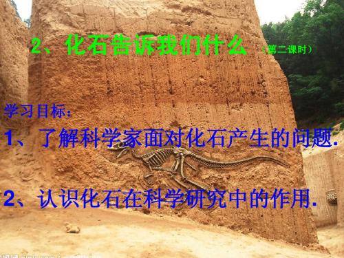 2、化石告诉我们