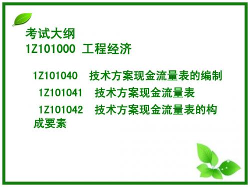 LZ101040 技术方案现金流量表的编制