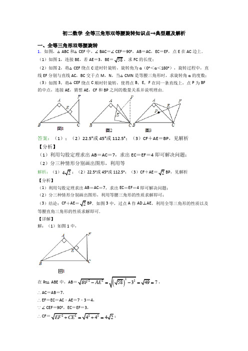 初二数学 全等三角形双等腰旋转知识点-+典型题及解析
