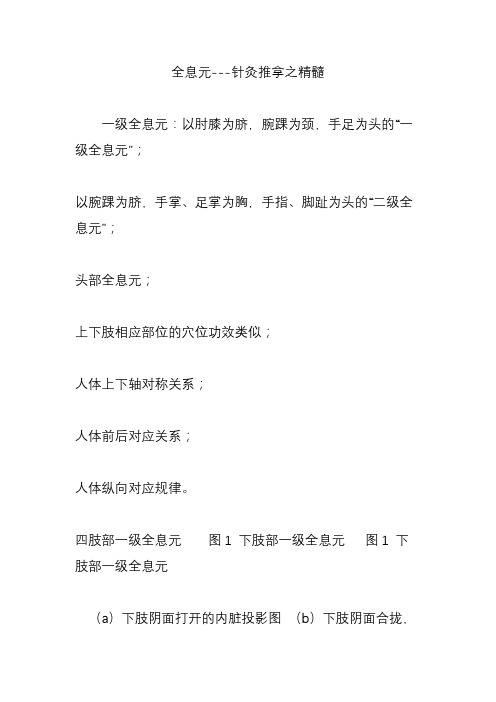 全息元---针灸推拿之精髓