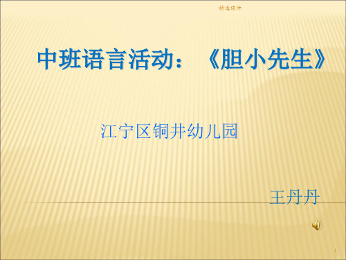 《胆小先生》PPT课件