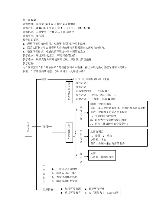 环境污染及其治理公开课教案.doc