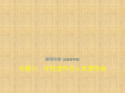 (北京专版)高考生物一轮复习 专题13 伴性遗传与人类遗传病名师课件
