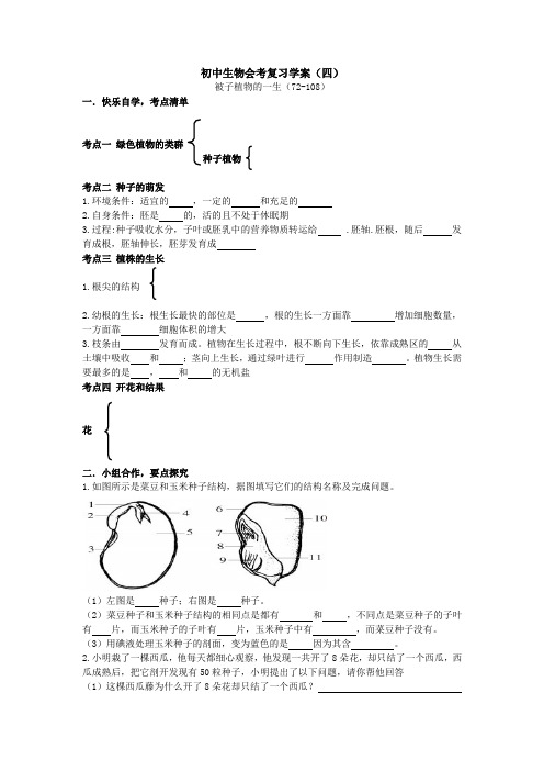 复习学案(被子植物的一生)