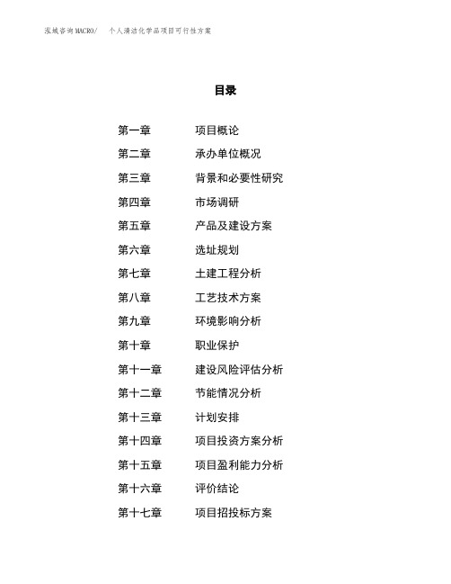 个人清洁化学品项目可行性方案
