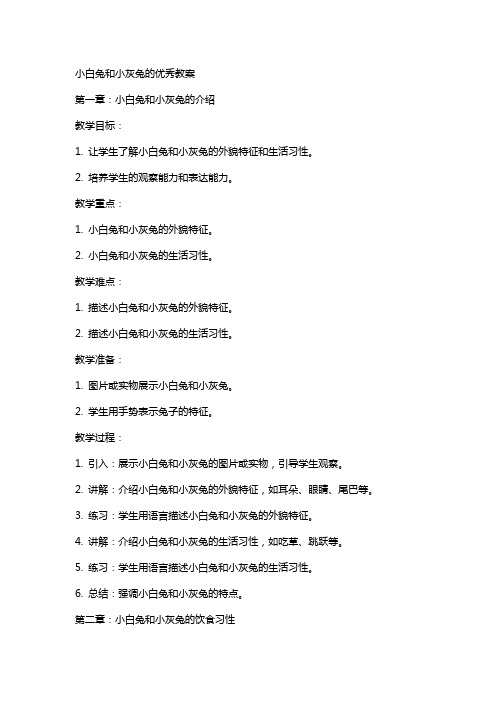 小白兔和小灰兔的教案