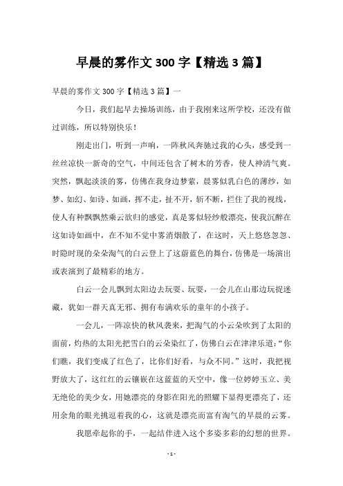 早晨的雾作文300字【3篇】