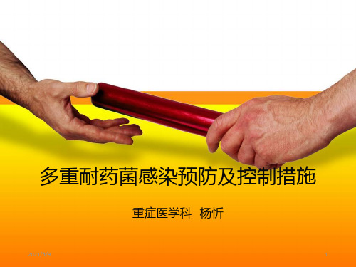 《多重耐药》ppt课件
