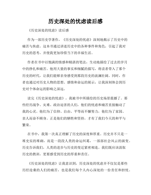 历史深处的忧虑读后感