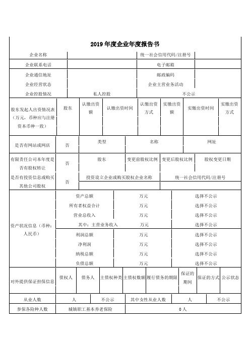 2019企业年度报告书