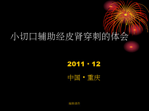 小切口辅助经皮肾穿刺的体会