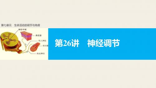 【新步步高】2018版浙江高考生物《选考总复习》课件第7单元第26讲神经调节