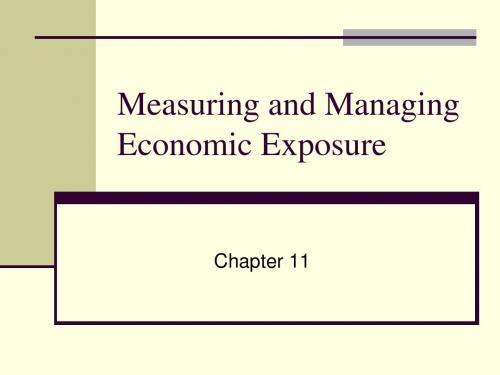 Measuring and Managing Economic Exposure49425345