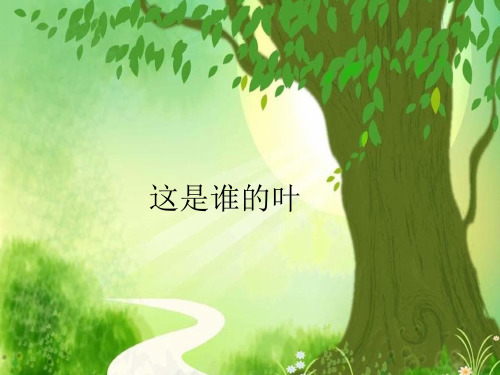 一年级上册科学课件-1.4这是谁的叶(12) l 教科版 (共32张PPT)