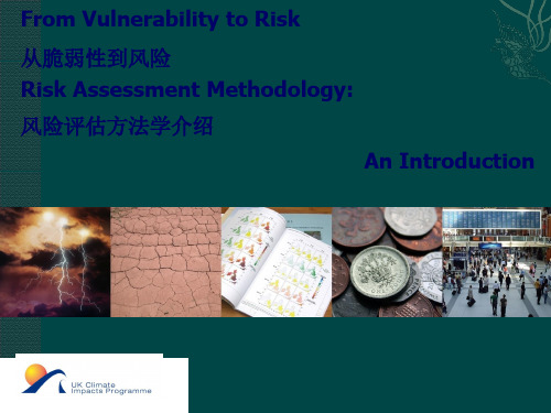 From Vulnerability to Risk从脆弱性到风险风险评估方法学介绍