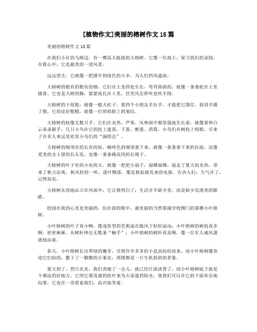 [植物作文]美丽的榕树作文15篇