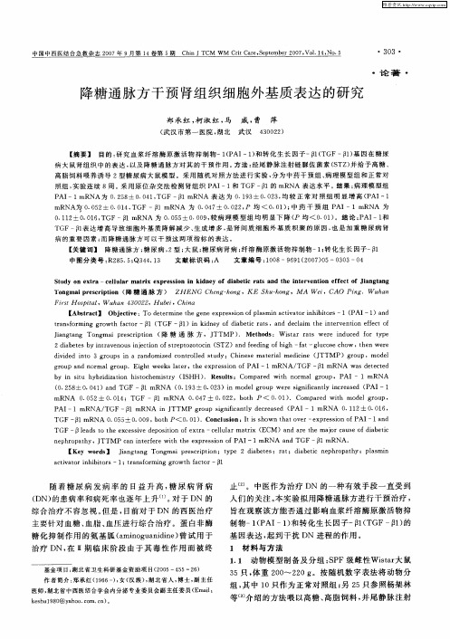 降糖通脉方干预肾组织细胞外基质表达的研究