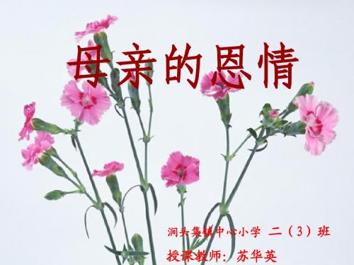 《母亲的恩情》ppt课件