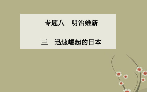 高中历史 专题八、三迅速崛起的日本课件 人民版选修1