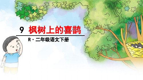 部编版二年级语文下册第9课《枫树上的喜鹊》精美PPT课件