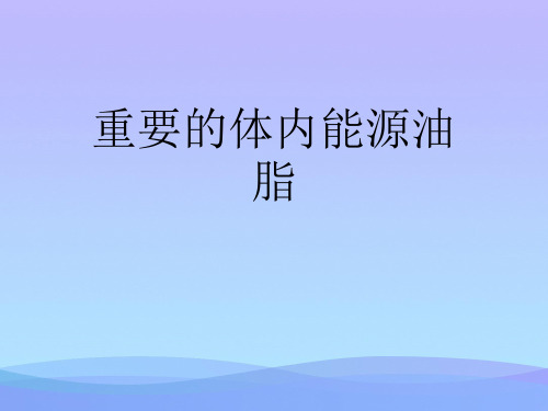 重要的体内能源油脂.2021优秀PPT文档