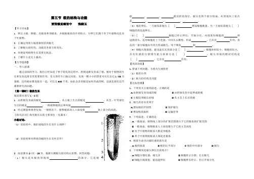 第一章第五节  根的结构与功能