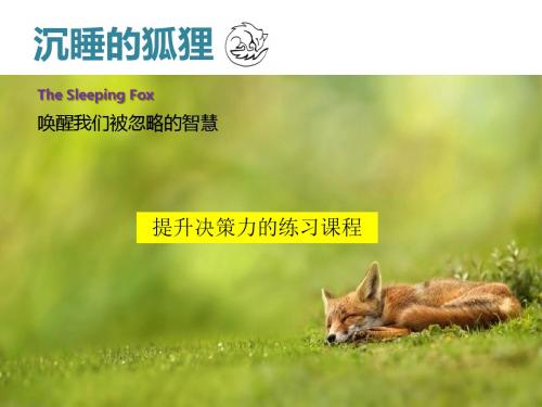沉睡的狐狸课件-王丹维
