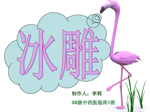 冰雕-课件【PPT讲稿】