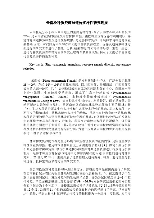 云南松种质资源与遗传多样性研究进展