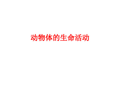 动物体的生命活动